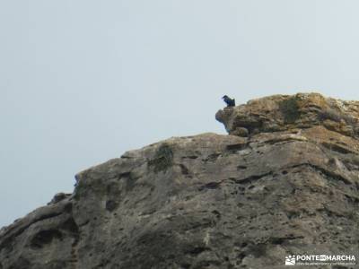 Manadero del Aguisejo - Cueva del Agua; excursiones turismo las excursiones abril viajes viajes de 1